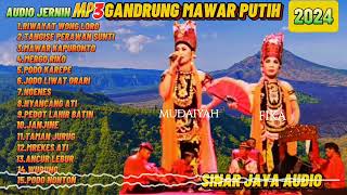 Download lagu LAGU LAGU GANDRUNG BANYUWANGI 2024 - FULL ALBUM - GANDRUNG TEROB REPENAN - MAWAR PUTIH KEMIREN mp3