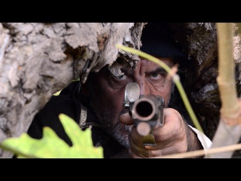 download lagu mp3 mp4 Abetito Galeotta Il Brigante Piccioni, download mp3 Abetito Galeotta Il Brigante Piccioni free download mp3, download mp3 Abetito Galeotta Il Brigante Piccioni