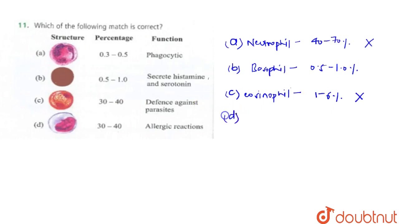 Which of the following match is correct 