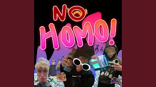Cover art for No Homo
