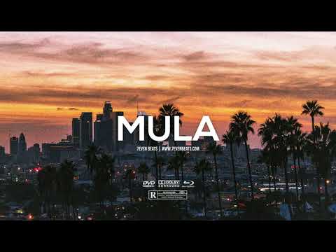 AZET x ALBI x MIAMI YACINE Type Beat - "MULA"