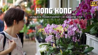 4K Mong Kok Flower Market, Hong Kong Walking Tour
