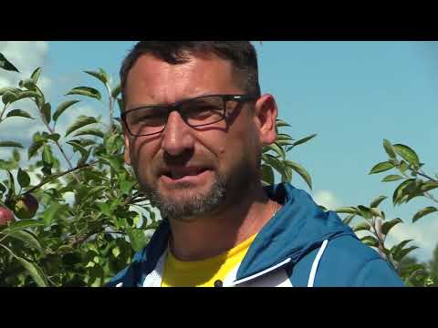 СадОгород / 01.08.2023