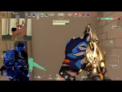 Warum Primme mit dem Primordium Vandal-Skin so knackig ist – gestochen scharfes 4K!