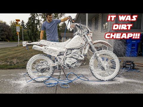 This 40 Year Old Honda Dual Sport Made Me LOVE Motorcycles Again!