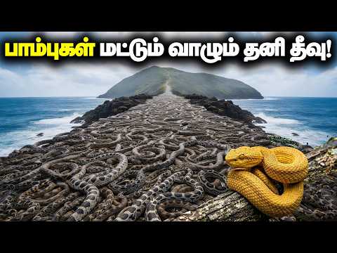 உயிரோடு திரும்ப முடியாத மரணத் தீவு! 😱 | Snake Island Brazil Full Story in Tamil