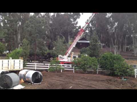 Tree Craning Time Lapse
