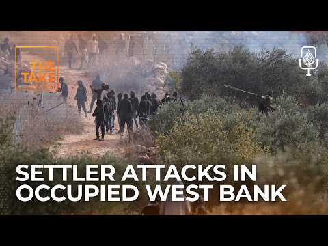 Brief: Settlers attack Palestinians and diplomats in occupied West Bank | The Take