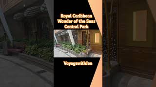 I didn't expect THIS inside a cruise ship #travel #cruise #mindblown