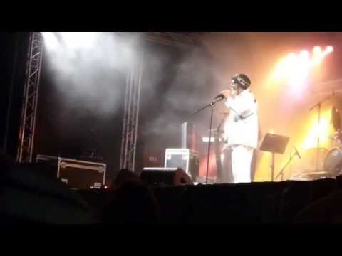 IRIE VIBES ROOTS FESTIVAL 2013 - Barry Issac - Noh Kill No Sound