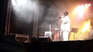 IRIE VIBES ROOTS FESTIVAL 2013 - Barry Issac - Noh Kill No Sound