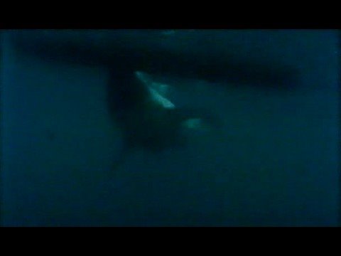 Blaulicht 112 - Geht Los!