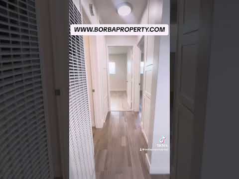 LB0465 (RUBS) - Video 2 of 2