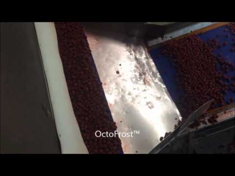 download lagu mp3 mp4 Frozen Sour Cherries, download lagu Frozen Sour Cherries gratis, unduh video klip Frozen Sour Cherries