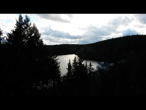 Der Peterstein in der Nähe der Zilliertalsperre mit Stempelstelle 36 der Harzer Wandernadel