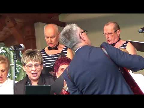 IX PŚPCh 2017   WRZOSY