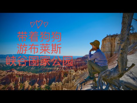 Bryce Canyon Np RV camping, senderismo y fotografía con mi perro, Parque Nacional Bryce Canyon, Parque Nacional Bryce Canyon, senderismo y fotografía, Utah