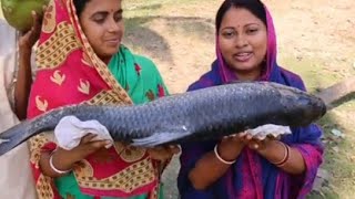 হাত দিয়ে অল্প সময়ে কিভাবে মাছ কাটা লাগে আমার ভিডিওটি দেখুন #vairal video MD Altaf Hossain volg #