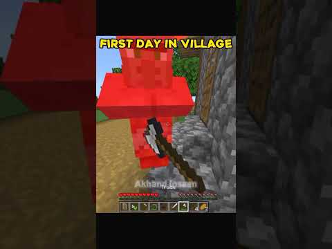 Minecraft cursed village