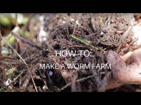 How To: Make a Worm Farm