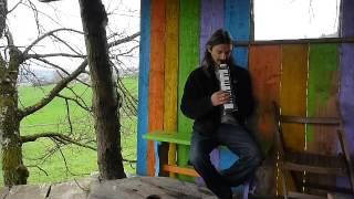 Melodica Easy Reggae Dub Skanking - Augustus Pablo cover