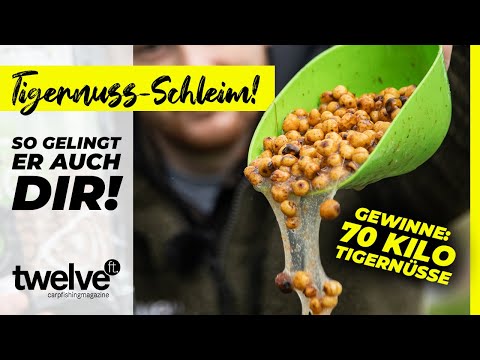 ANLEITUNG: wie bekommt man Tigernüsse schleimig? GEWINNE 70 KILO zum Karpfenangeln!