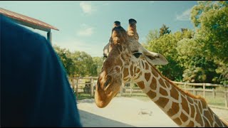 Dog Monologue – Sun Over the Zoo