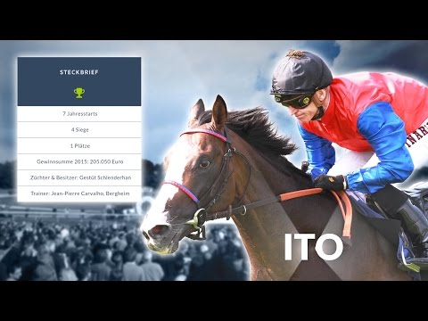 Galopper des Jahres Wahl 2015 – Kandidat 1: ITO