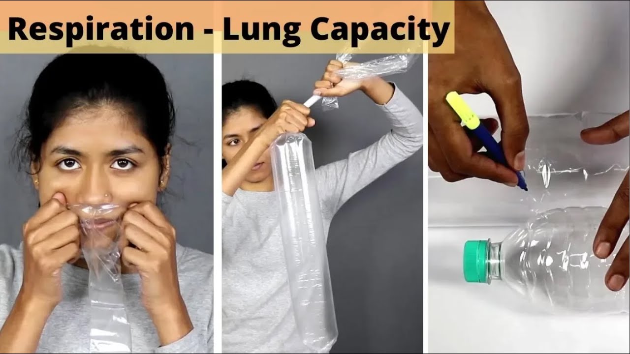 Respiration - Lung Capacity | ThinkTac
