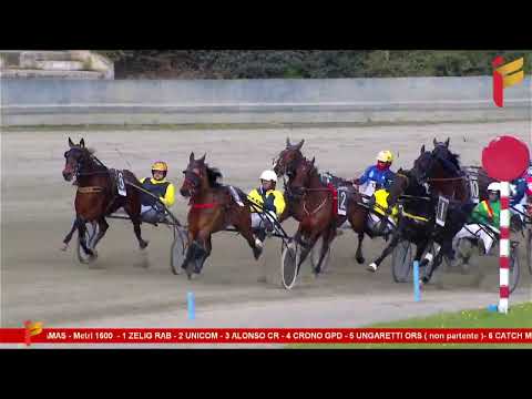 III corsa del 28 gennaio 2023 - 5 Anni ed oltre - Metri 1600 - Gentlemen