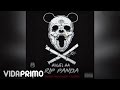 Anuel AA - RIP Panda [Official Audio]