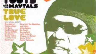 Never Grow Old - Toots & The Maytals feat. Terry Hall, The Skatalites and U-Roy