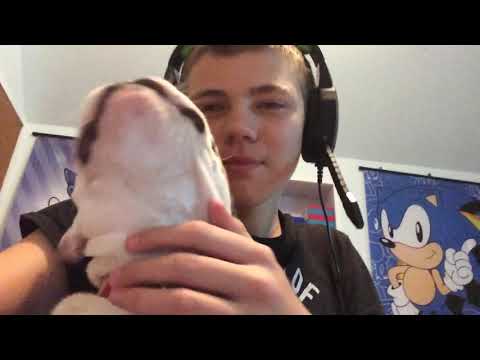 Super Mario Maker #23 Leonard! 🐶