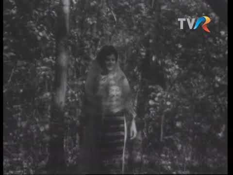 Ion Dolănescu, Ionela Prodan