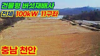 [충남 천안] 버섯재배사 100kw 11구좌 태양광발전소 분양 | 23년 8월 상업운전 예정