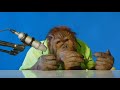 Orangutan Asmr Orang Utan ASMR