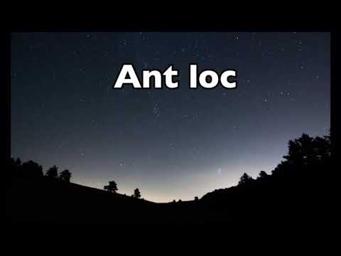 Ant loc - Bottom Boy [Official Lyric Video]