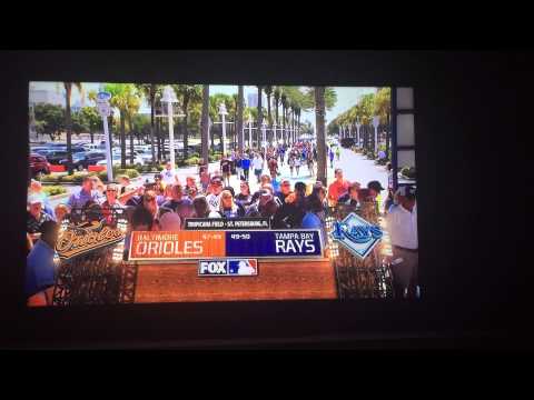 Fox Sports Sun - Tampa Bay Rays Intro July 2015
