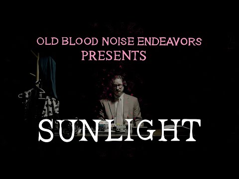 Old Blood Noise Endeavors Sunlight Stereo Modulated Reverb Effects Pedal (black) image 4