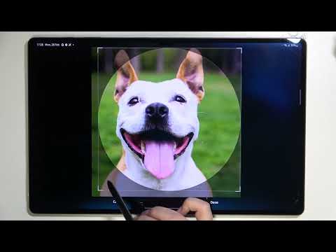 How to Add Photo to Contact in SAMSUNG Galaxy Tab S8 Ultra – Customize Contact List