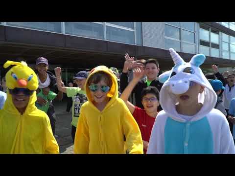 download lagu mp3 mp4 Bergiere, download lagu Bergiere gratis, unduh video klip Bergiere