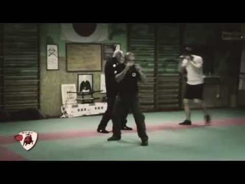 Krav Maga scudo Dojo Miura Torino