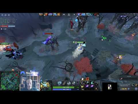 ASÍ se PERSIGUE a "TOPSON" (si que lo ODIAN..) XD jajaja