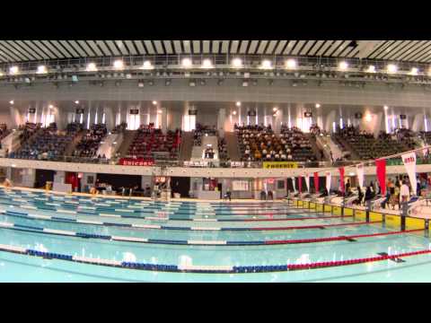 2014-2015 Swimming Gala Cheering Grand Show