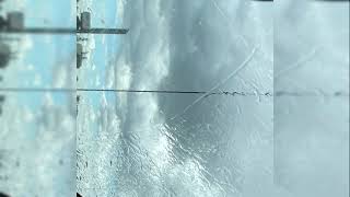 psythoness - world at war prod psythoness +bonus upload+
