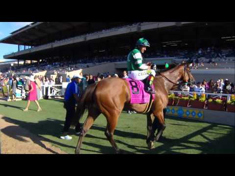 Elektrum Eyes 2015 Red Carpet Handicap