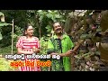 පොල්කටු භාවිතයෙන් කල අපූරු මල් වගාව