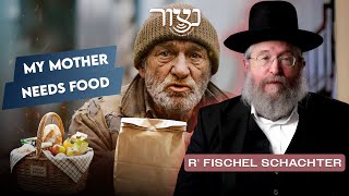 אמא שלי צריכה אוכל - פישל שכטר