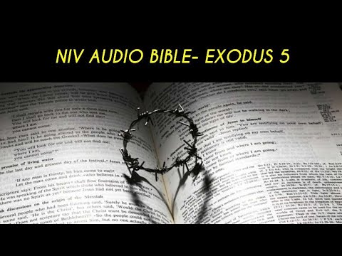 EXODUS 5 NIV AUDIO BIBLE (with text)
