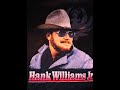 Hank Williams, Jr - Southern Thunder